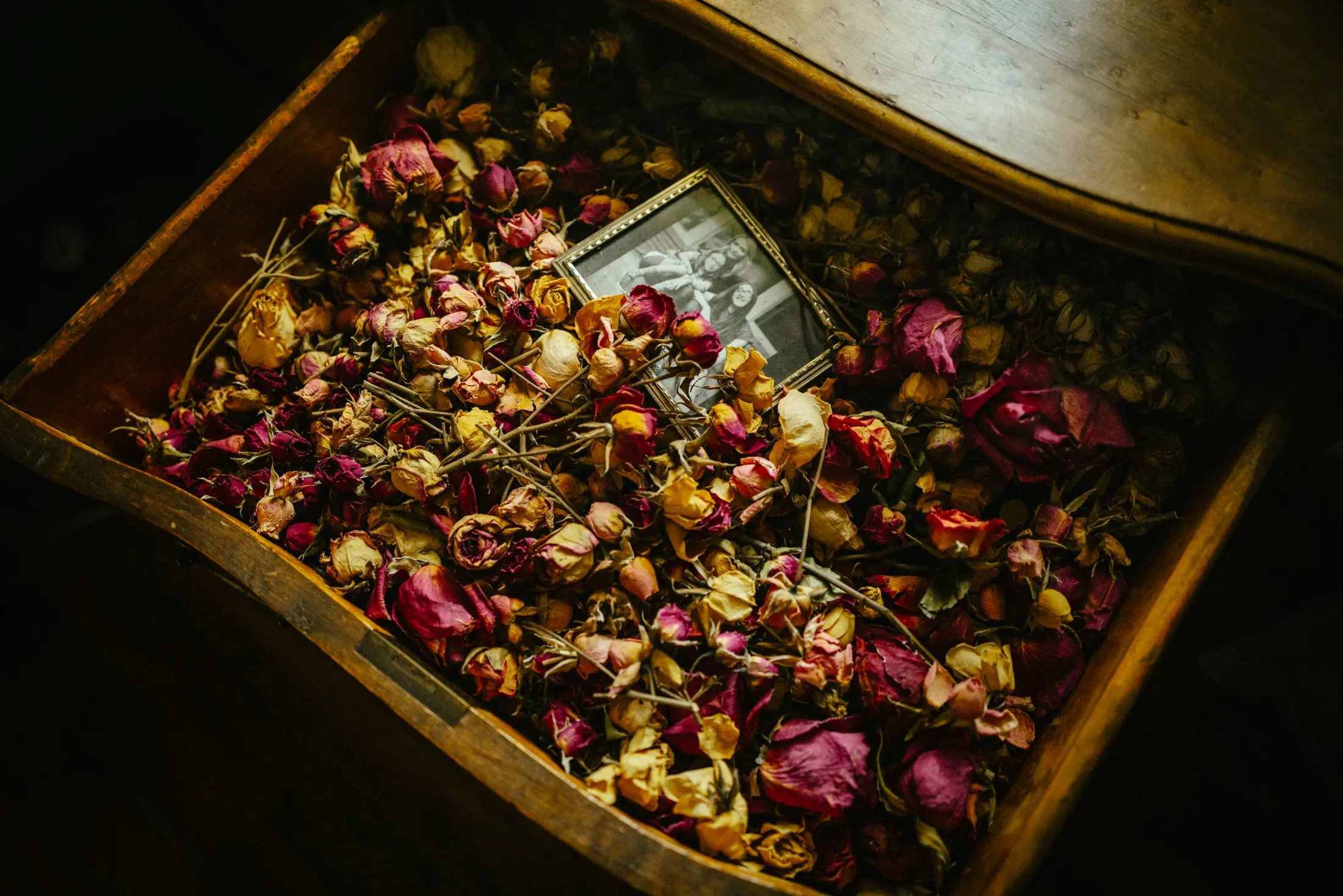 Healers, photograph 6