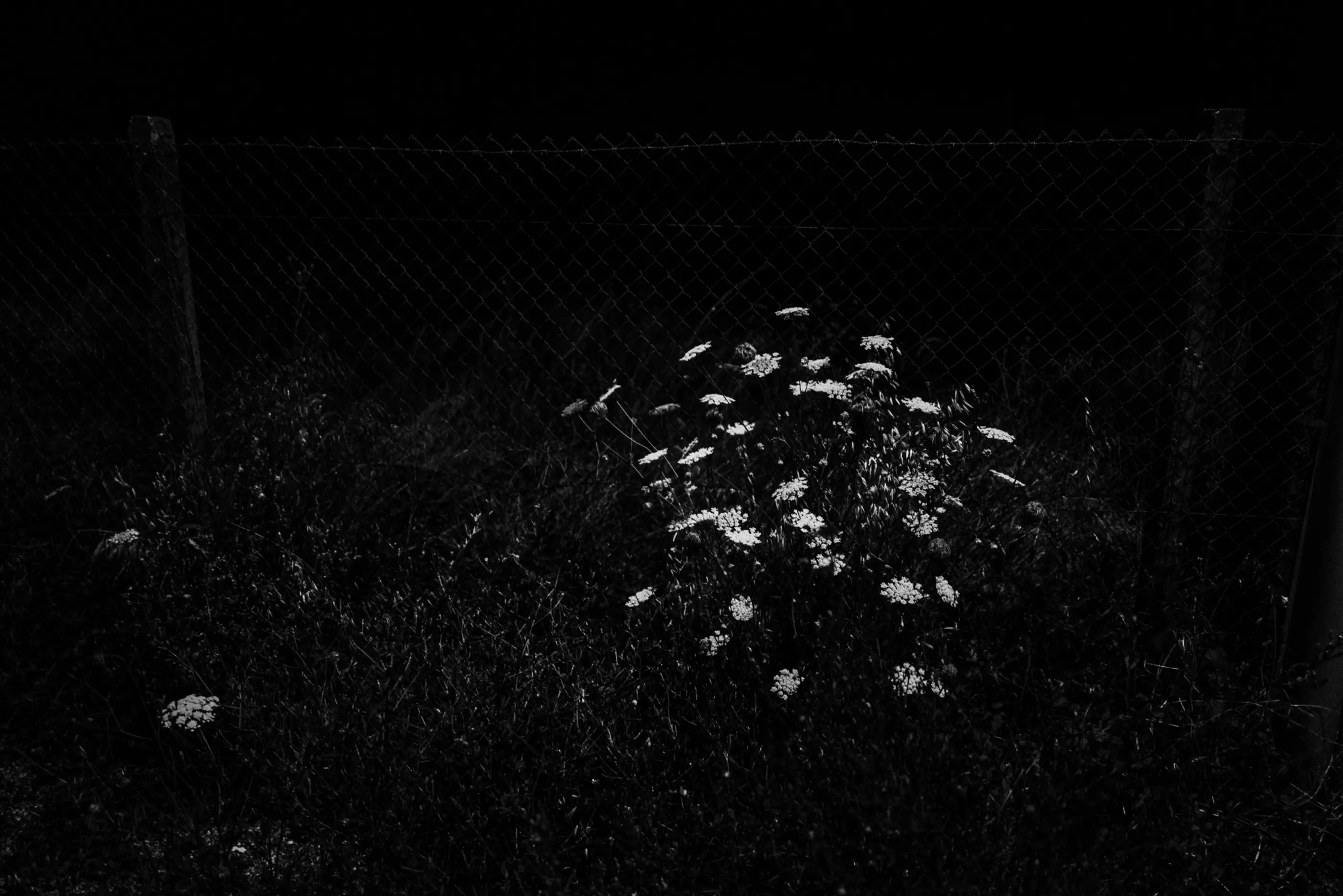 Intermission, Arles 2023, photograph 23
