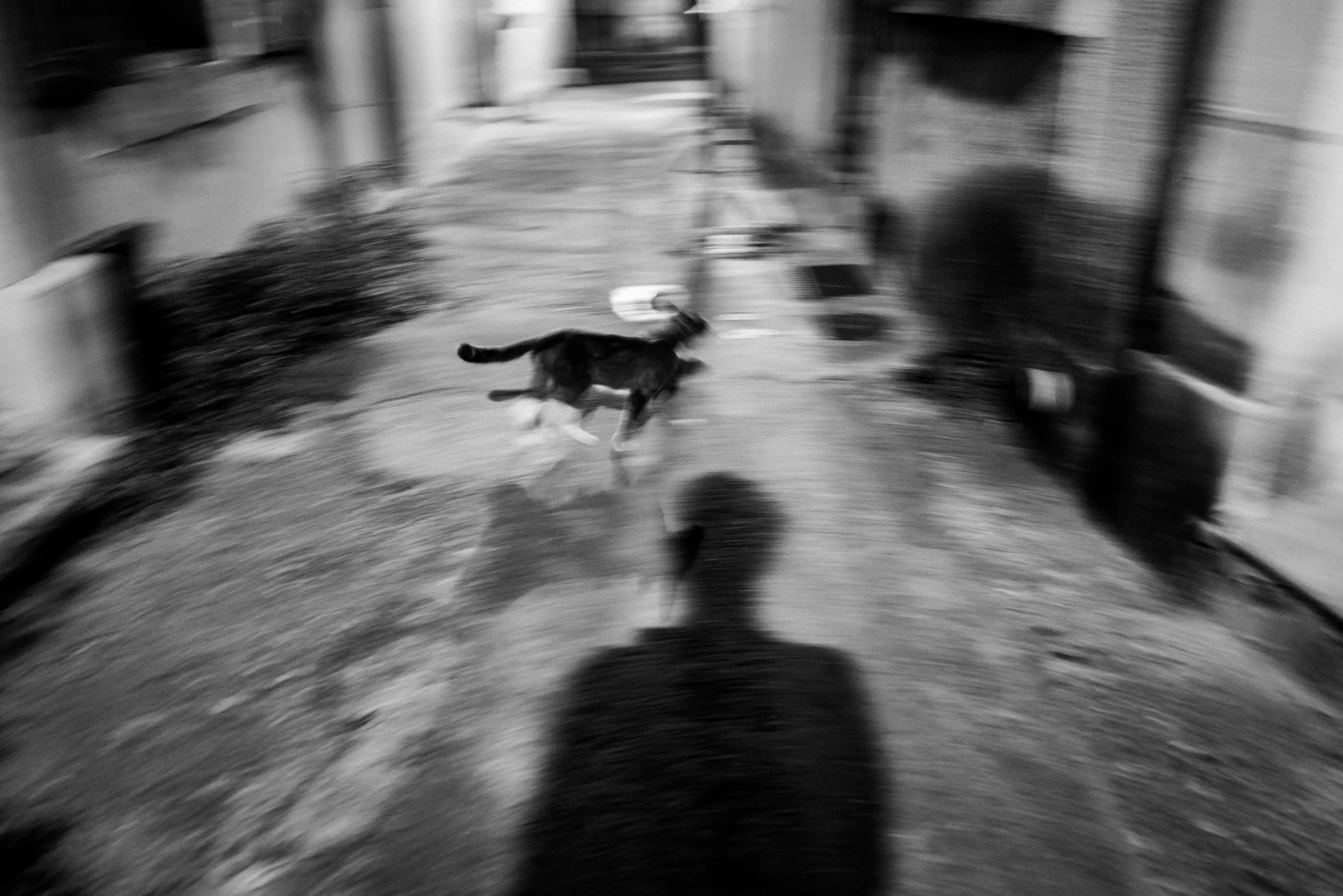 Intermission, Arles 2023, photograph 4