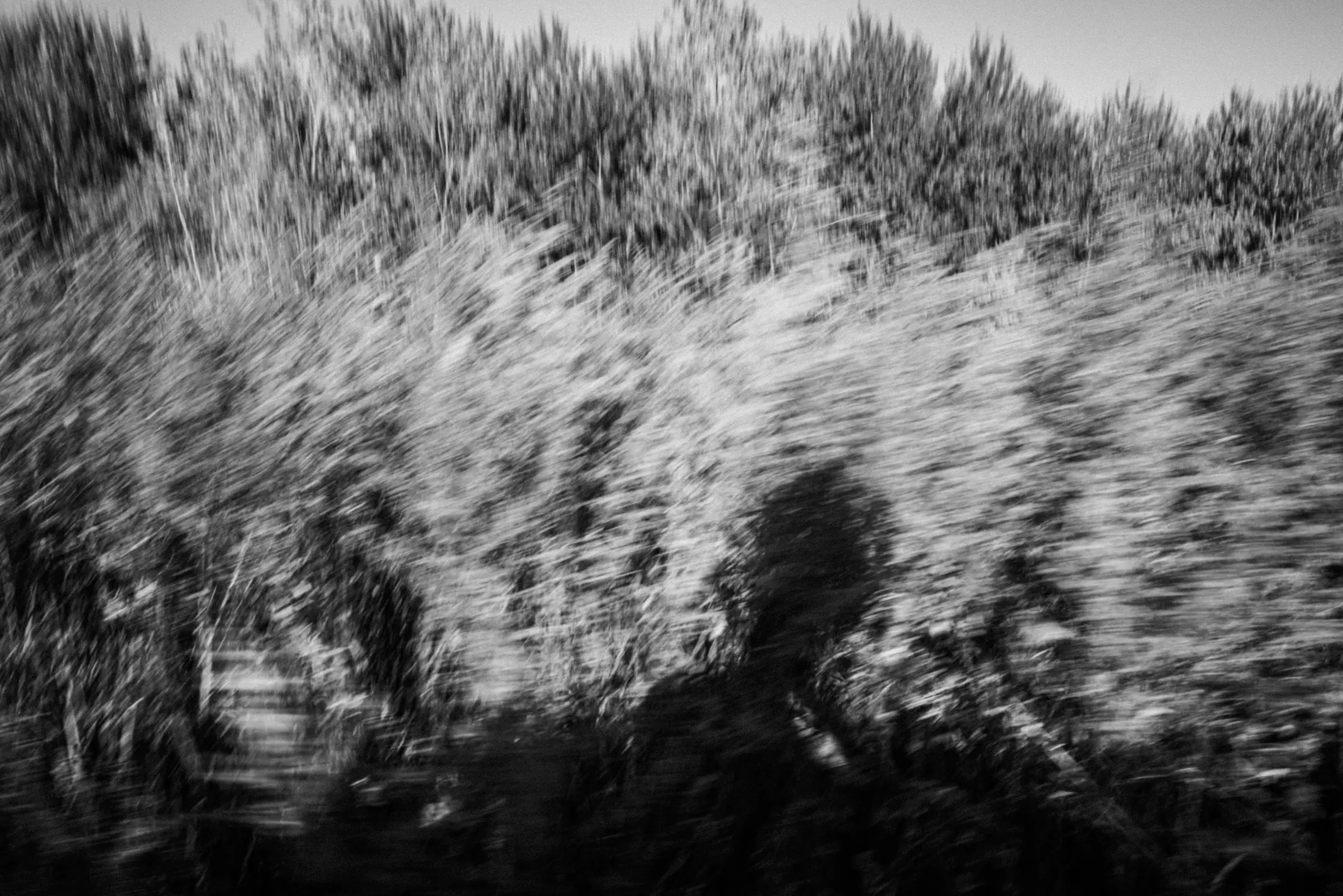 Intermission, Carpe Diem, photograph 14