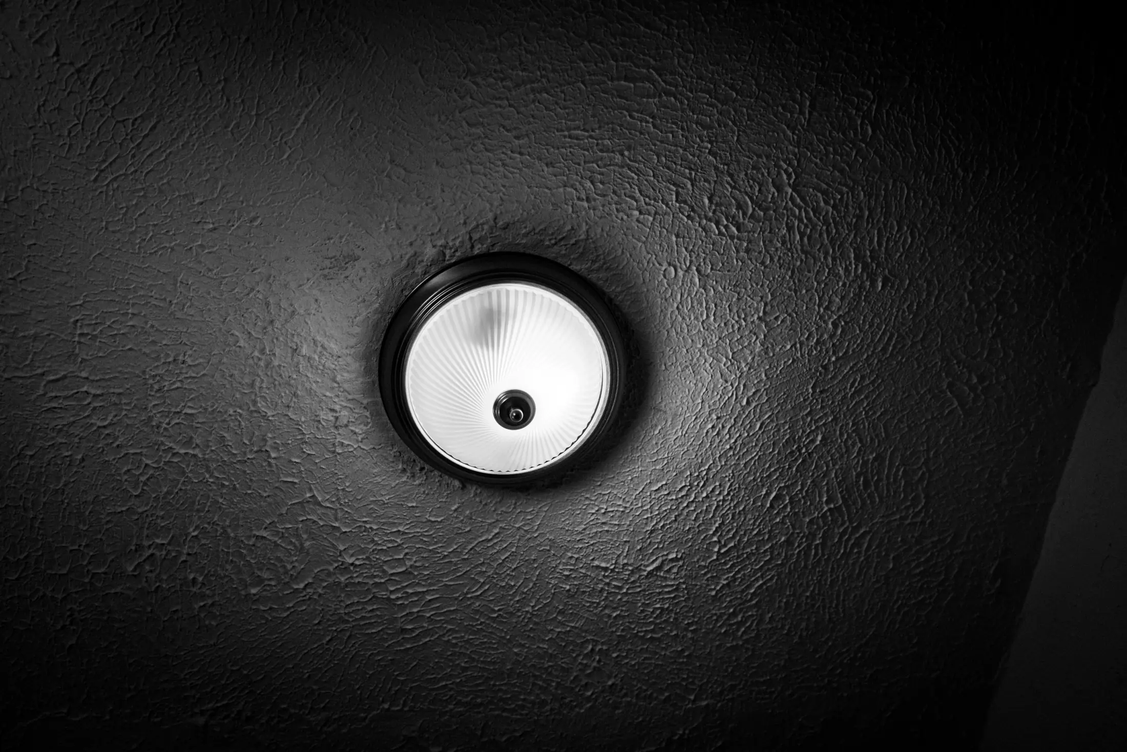 Intermission, Carpe Diem, photograph 7