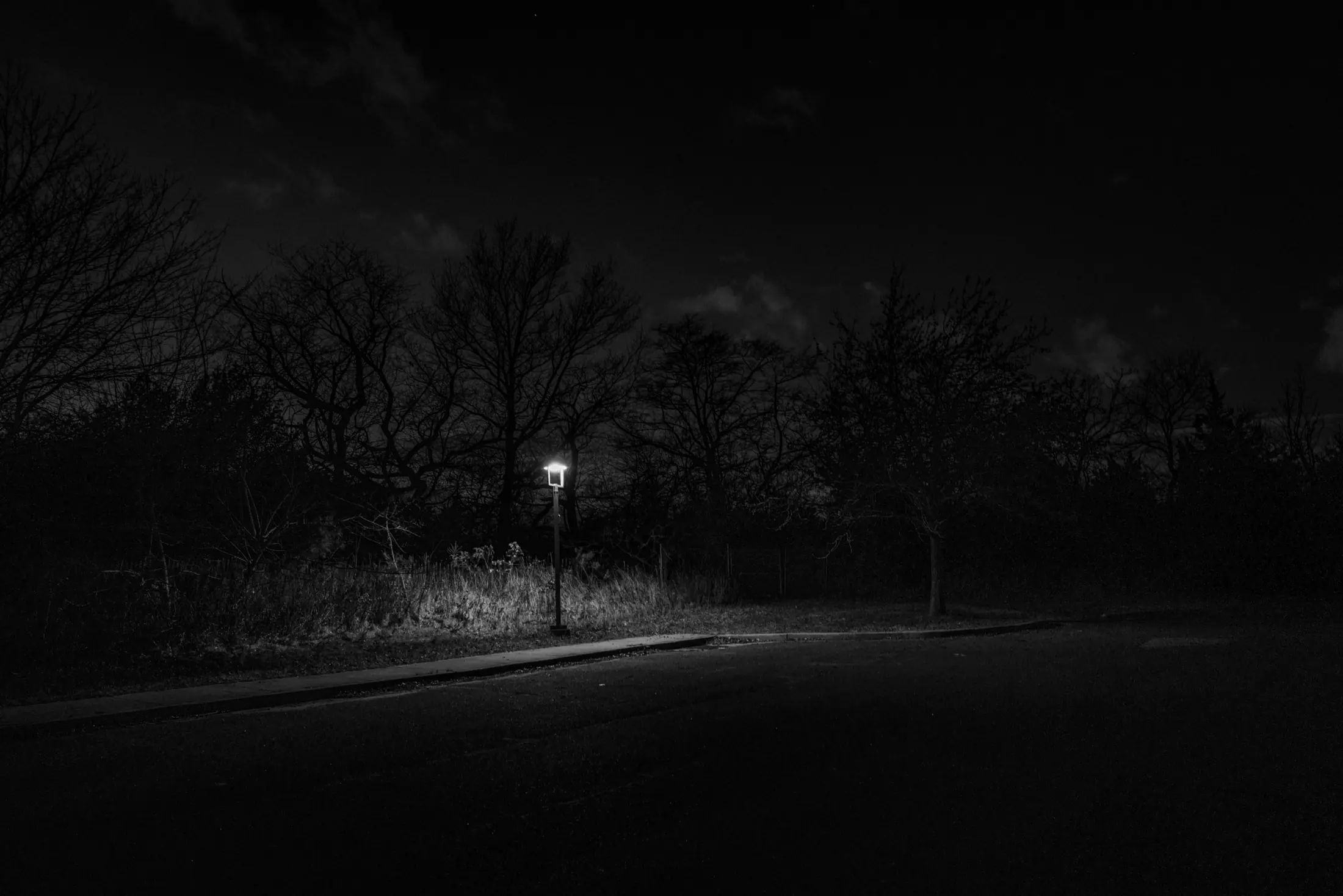 Intermission, Carpe Diem, photograph 9