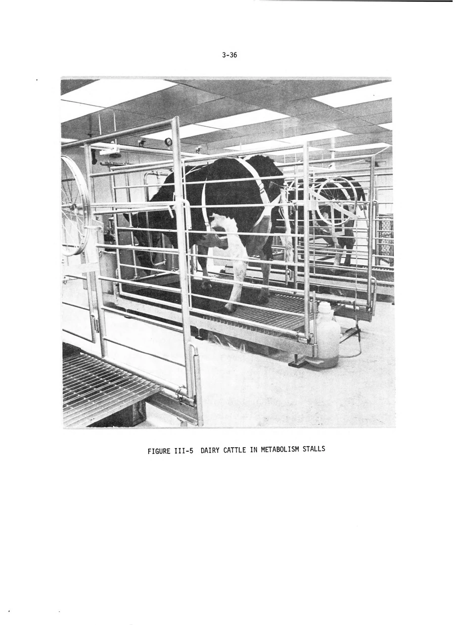 Archival record 46
