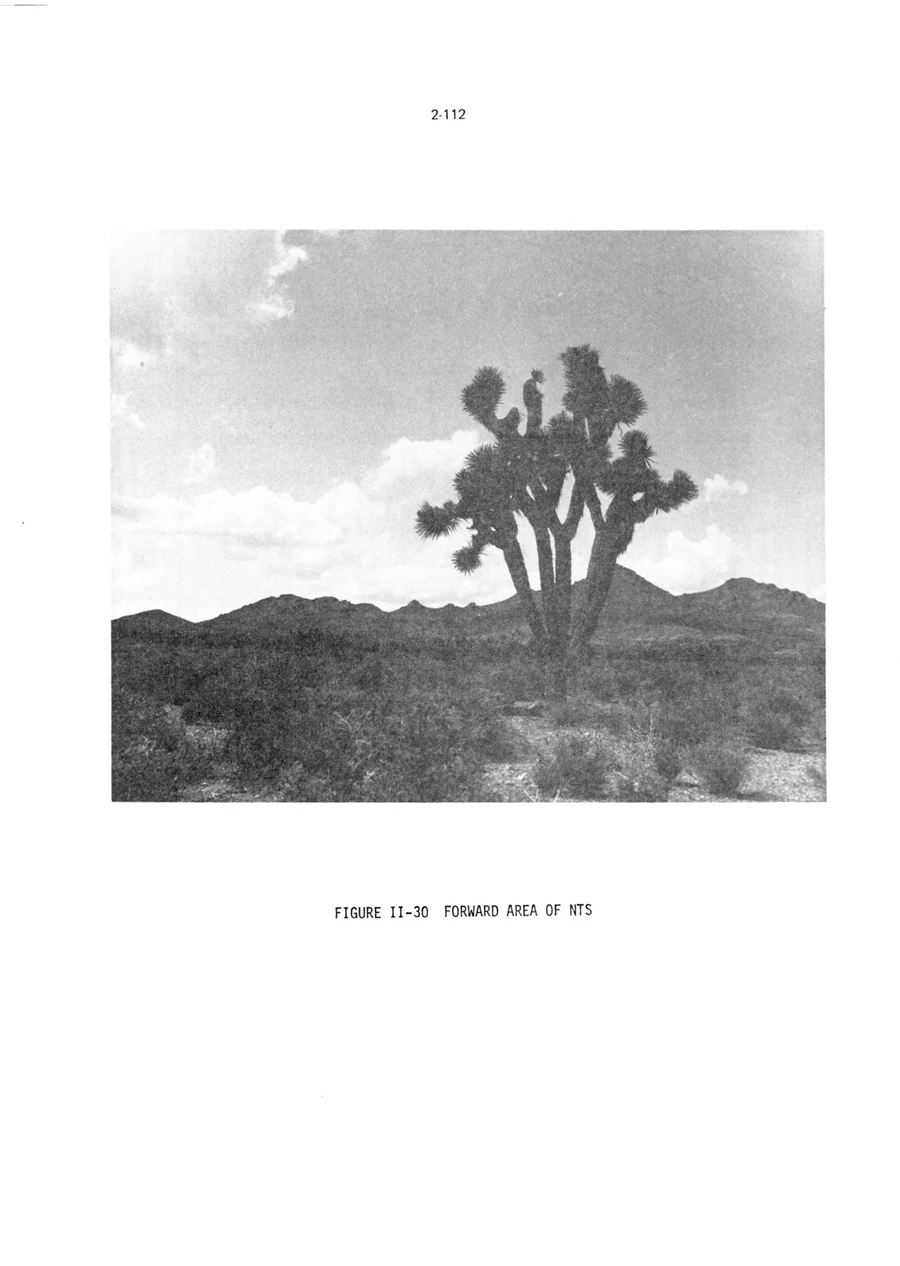 Archival record 50