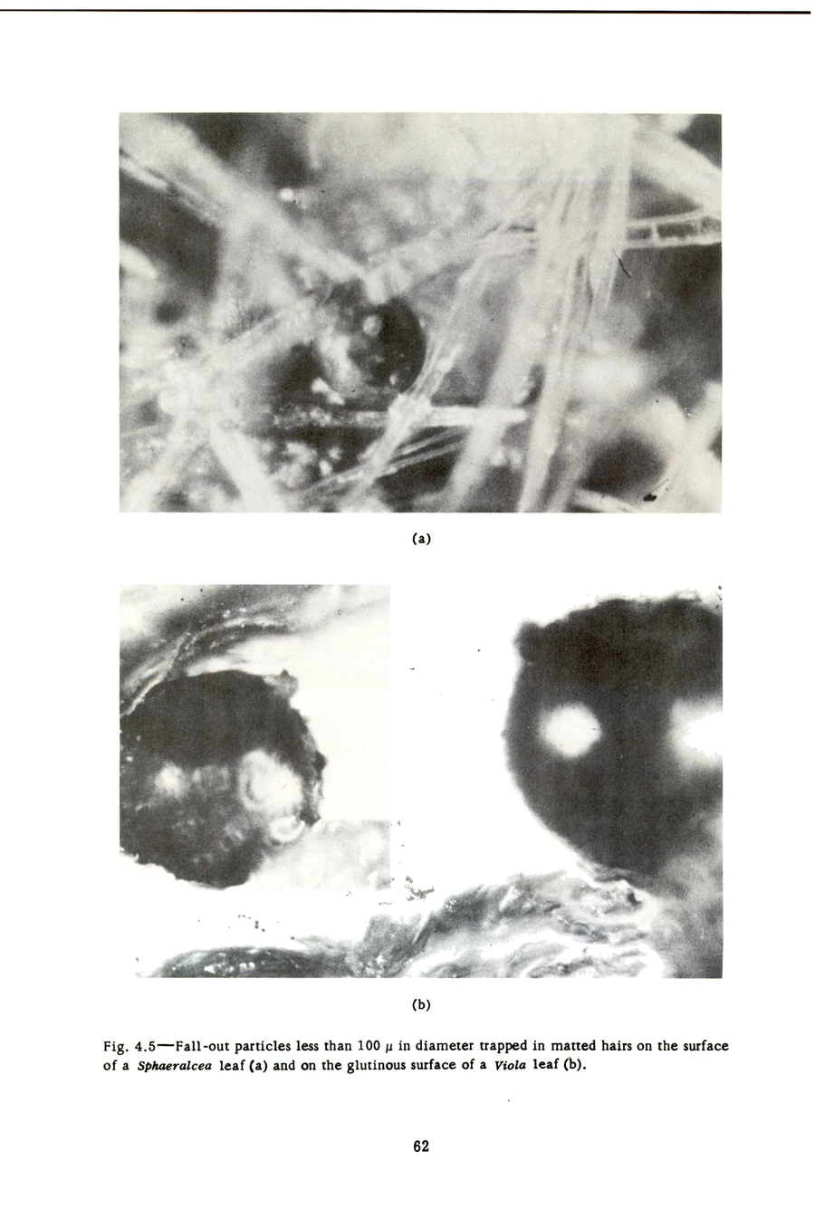 Archival record 52