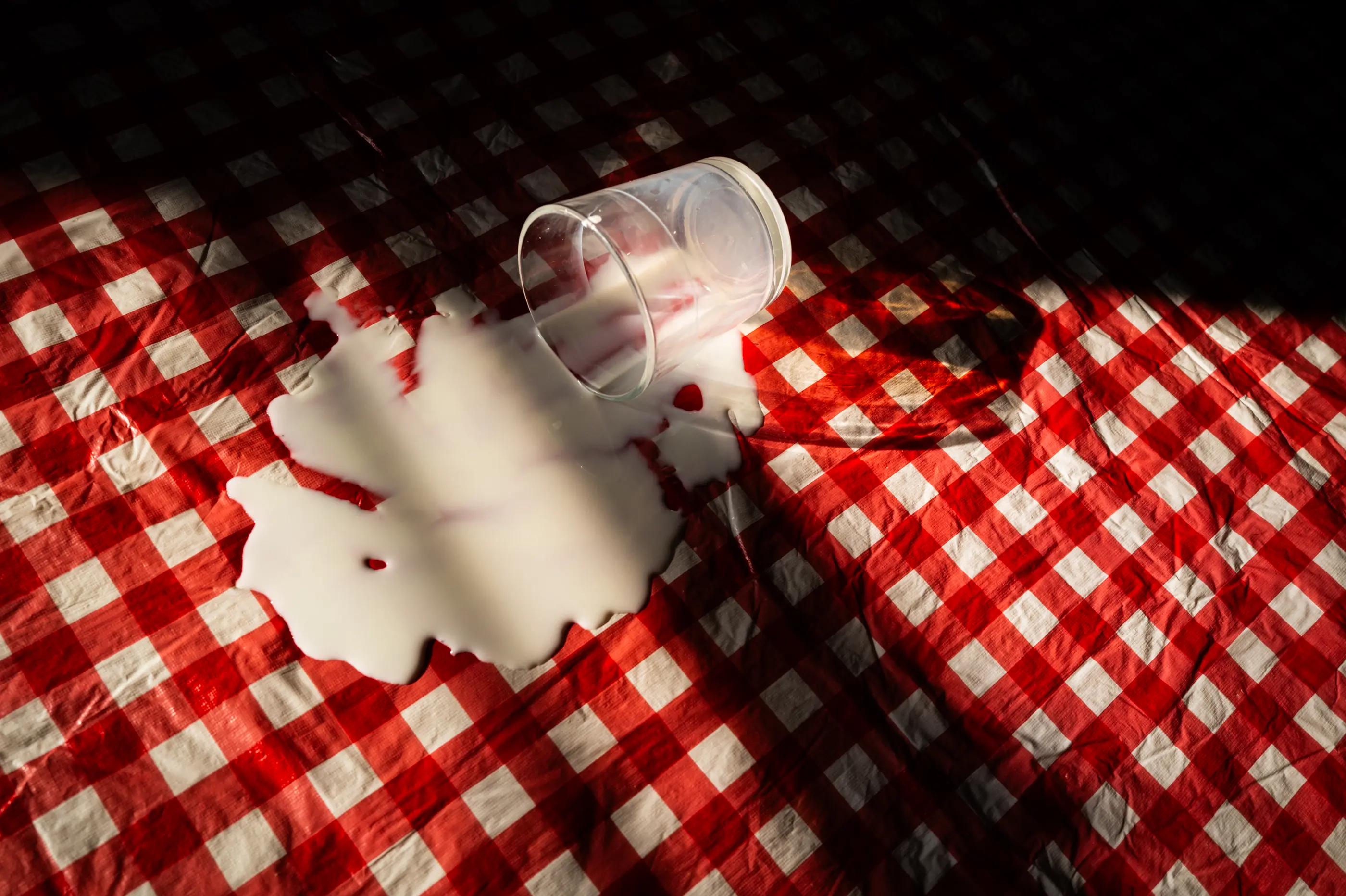 Spilled milk on a red-and-white checked tablecloth