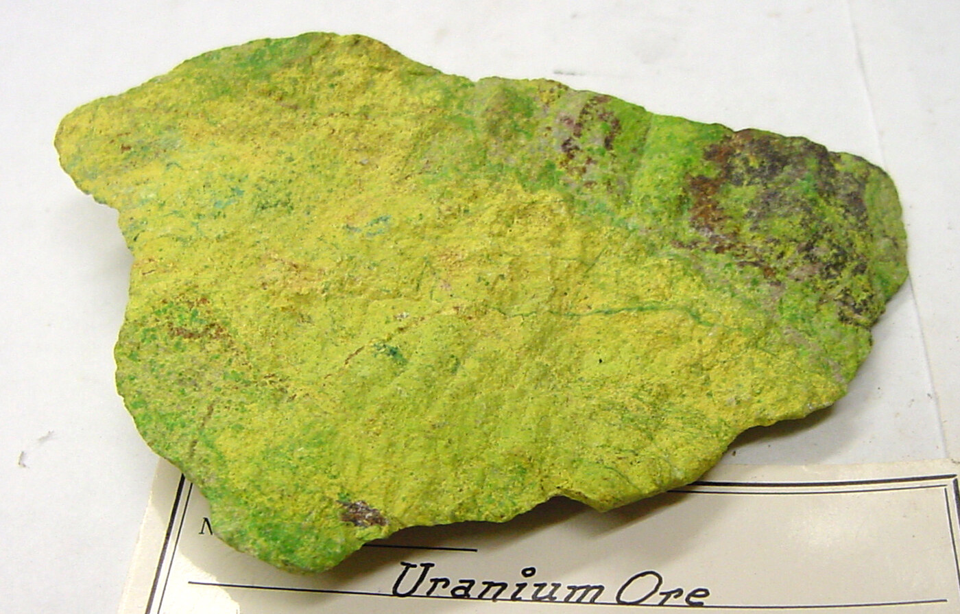 Bright green uranium ore specimen collected at Shinkolobwe in the Belgian Congo