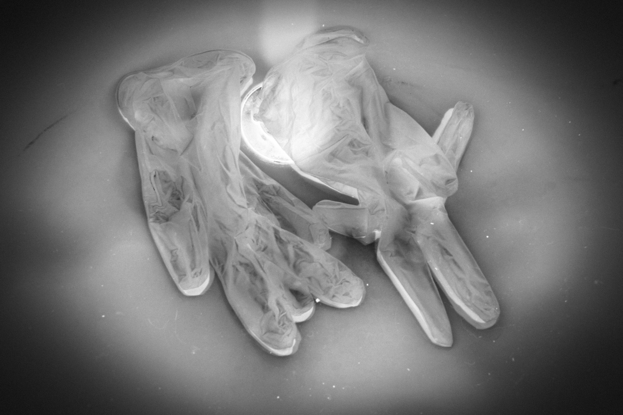 X-ray-like still life of translucent protective gloves